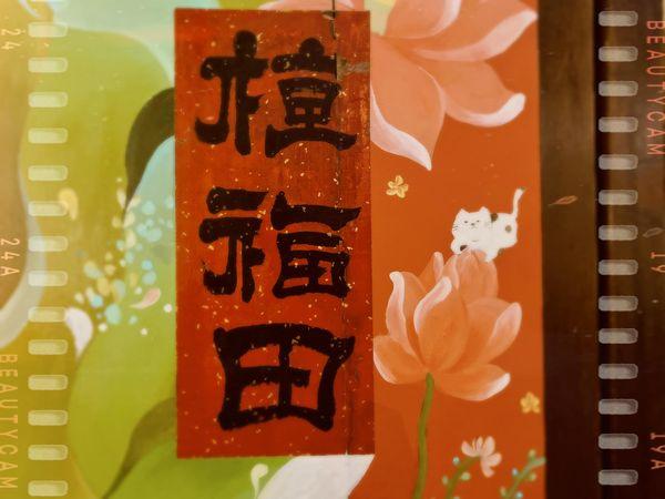 『自然 x 人類 x 科技』